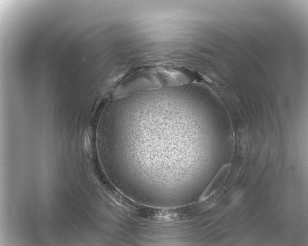 X0000054460760200508051950