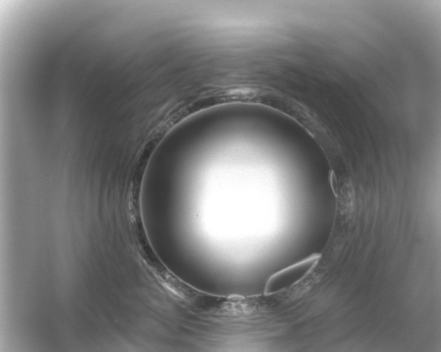 X0000054460764200508051951