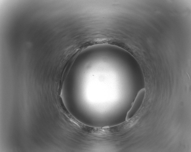 X0000054460768200508051951