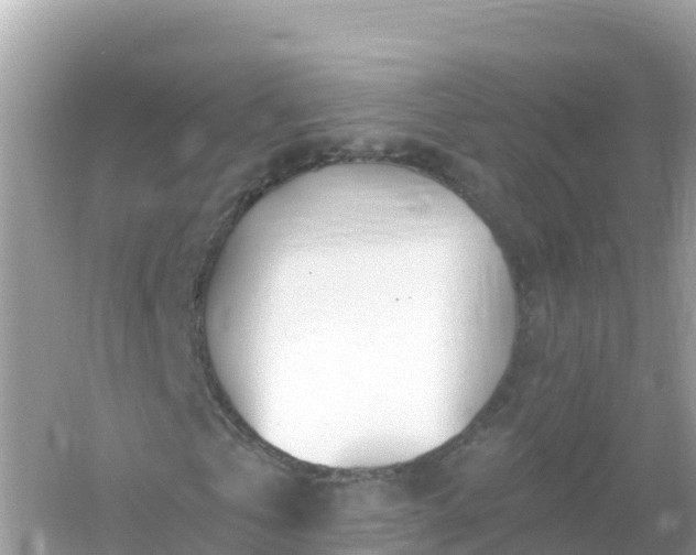 X0000054460769200508051950