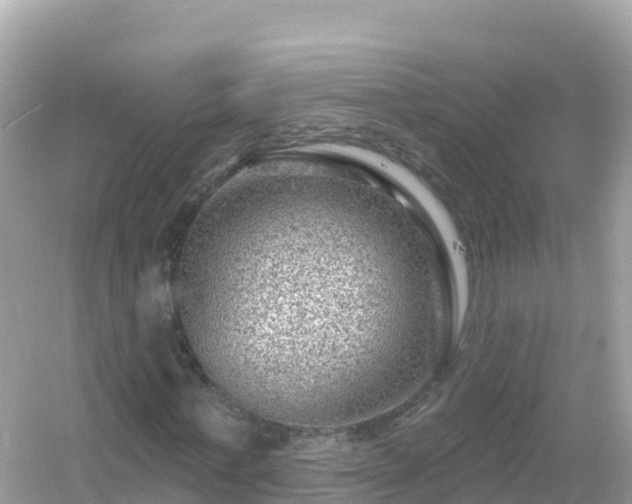 X0000054460771200508051950