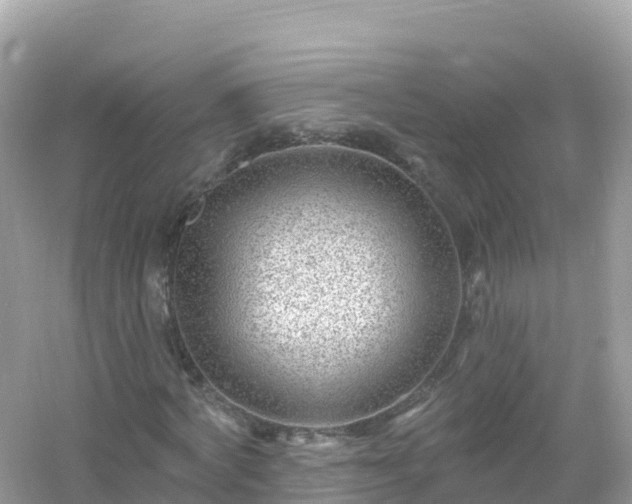 X0000054460772200508051950