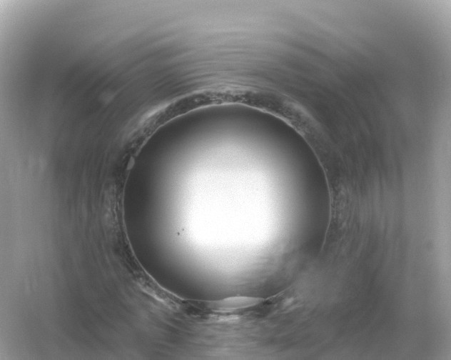 X0000054460773200508051950