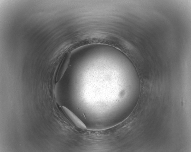 X0000054460774200508051950