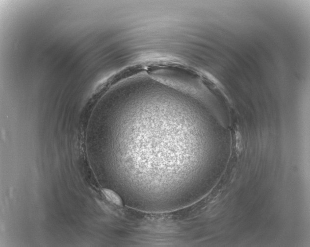 X0000054460775200508051950