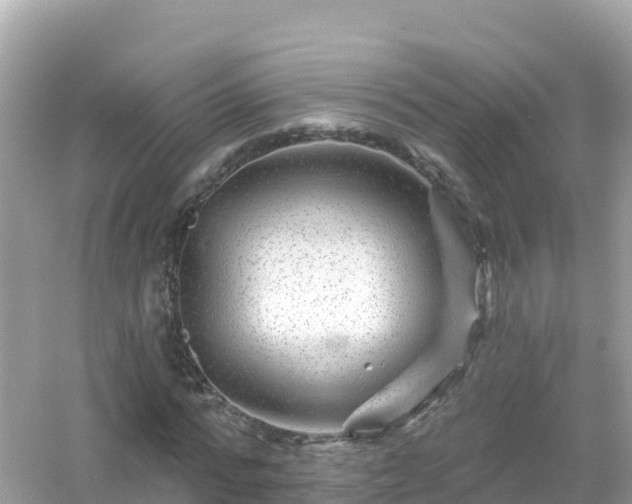 X0000054460776200508051950