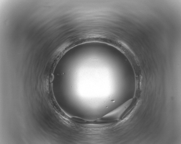 X0000054460777200508051950