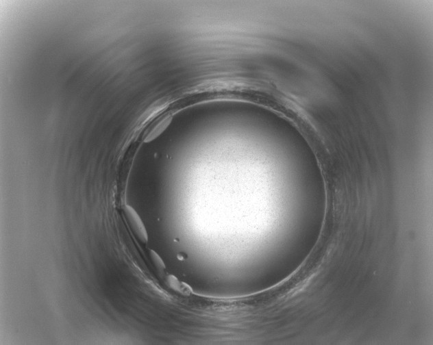 X0000054460778200508051950