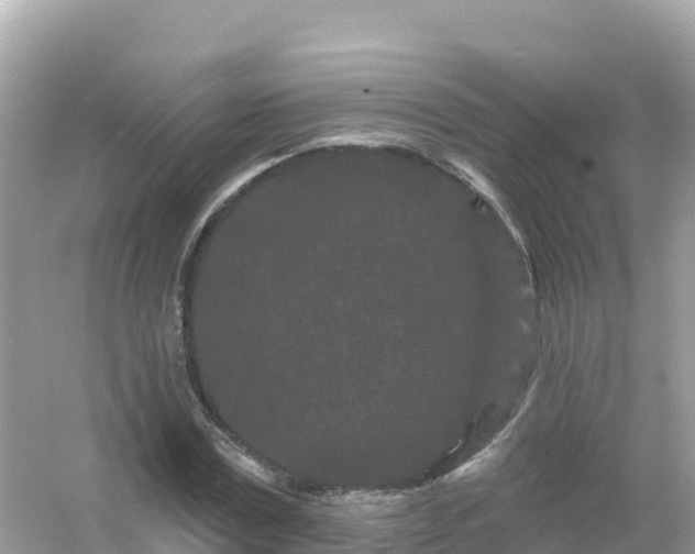 X0000054460779200508051950