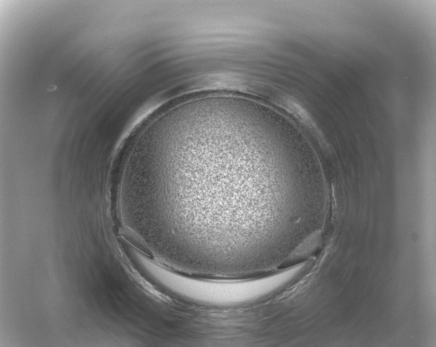 X0000054460780200508051950