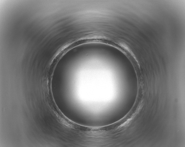 X0000054460781200508051950