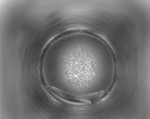 X0000054460783200508051950