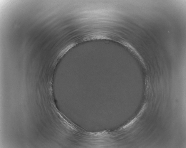 X0000054460785200508051950