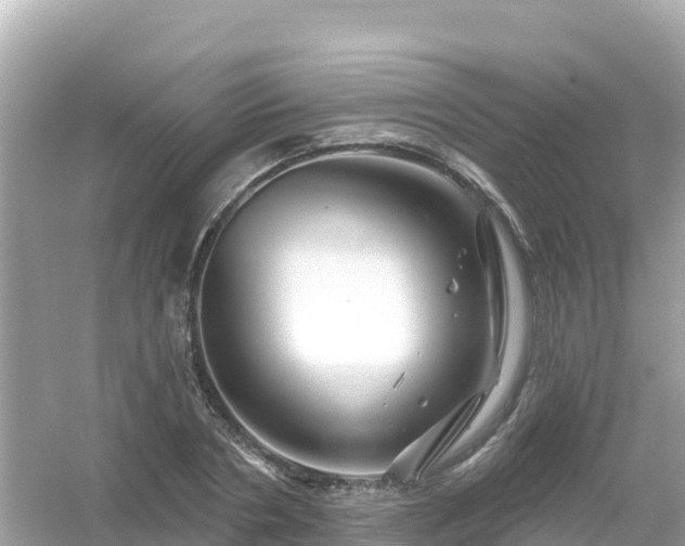 X0000054460786200508051949