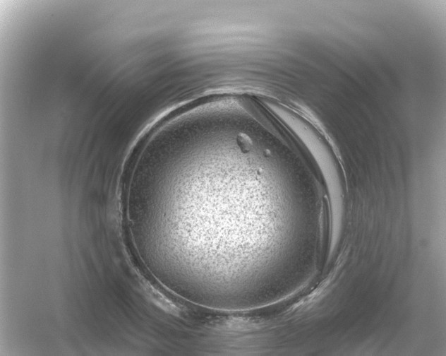 X0000054460787200508051949