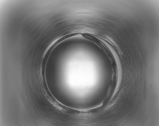 X0000054460788200508051949