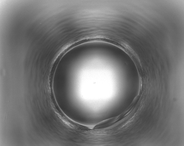 X0000054460789200508051949