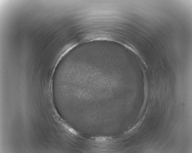 X0000054460790200508051949