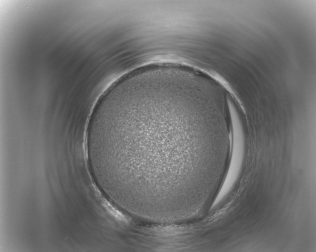 X0000054460791200508051949