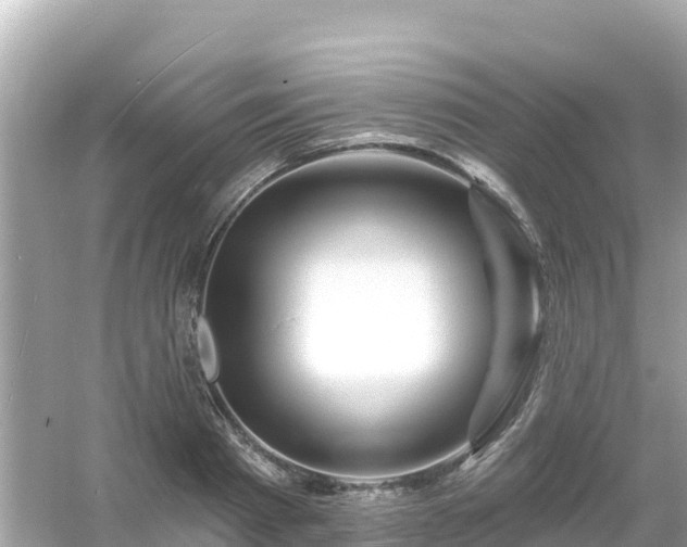 X0000054460793200508051949