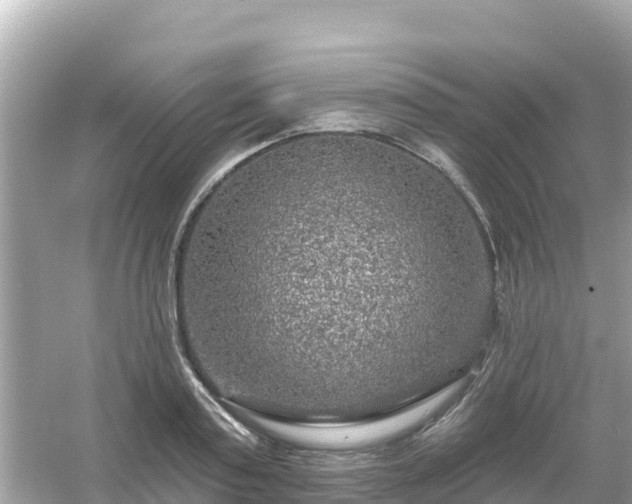 X0000054460795200508051949