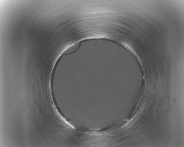 X0000054460797200508051949