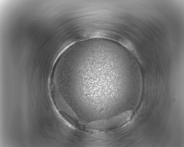 X0000054460798200508051949