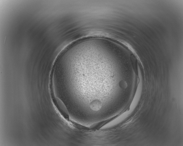 X0000054460799200508051949