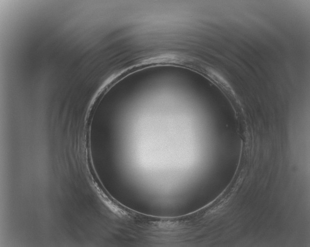 X0000054460800200508051949