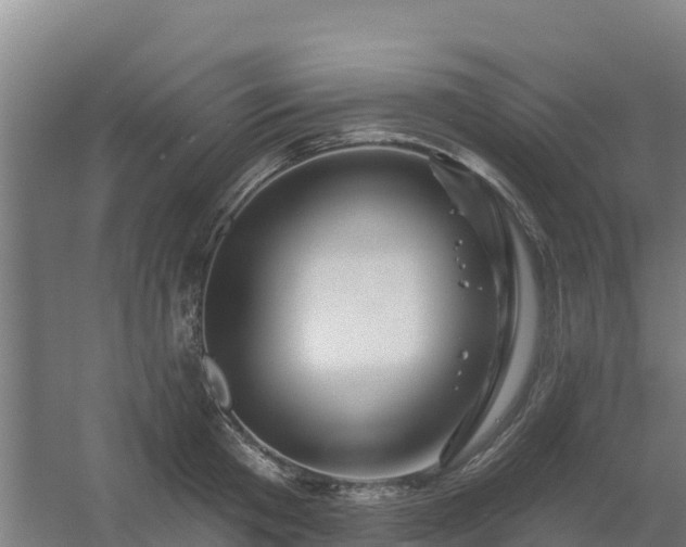 X0000054460801200508051949