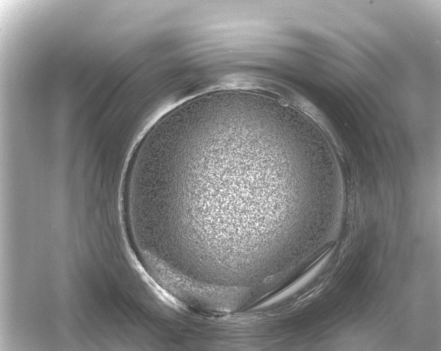 X0000054460803200508051949