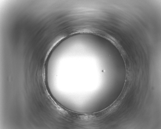 X0000054460804200508051949