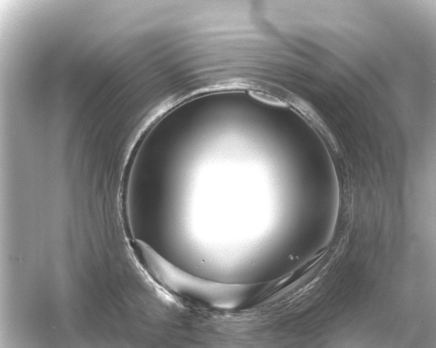 X0000054460805200508051949