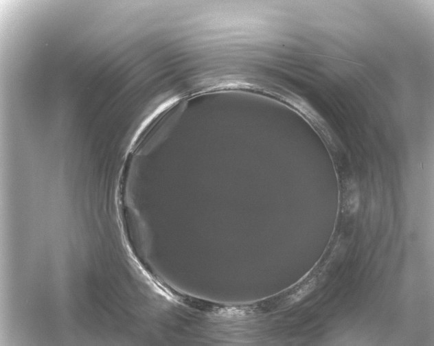 X0000054460806200508051949