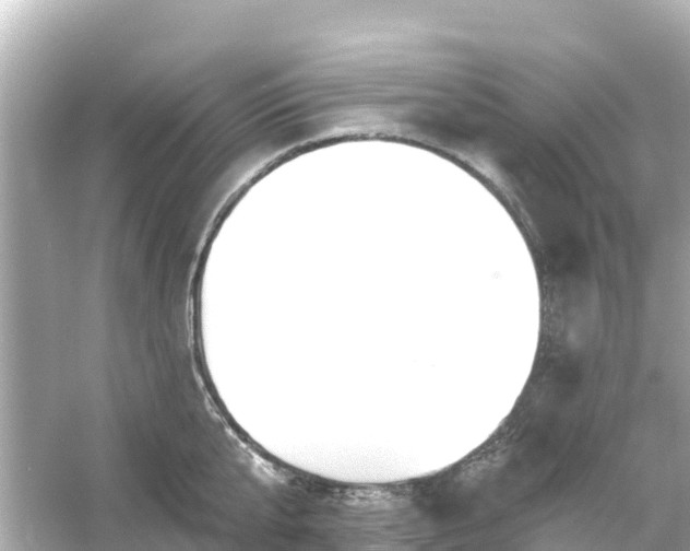 X0000054460807200508051949