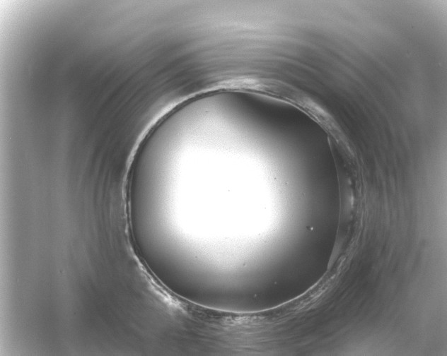 X0000054460808200508051949