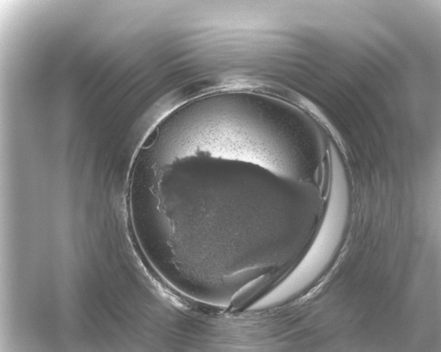 X0000054460810200508051949