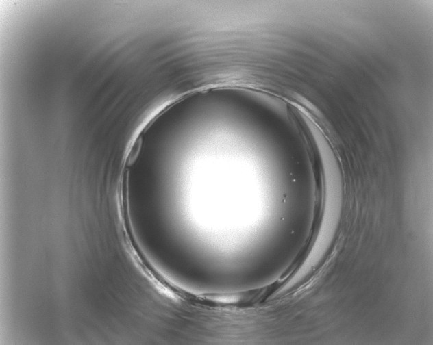 X0000054460812200508051949