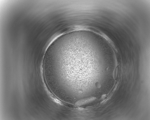 X0000054460814200508051949