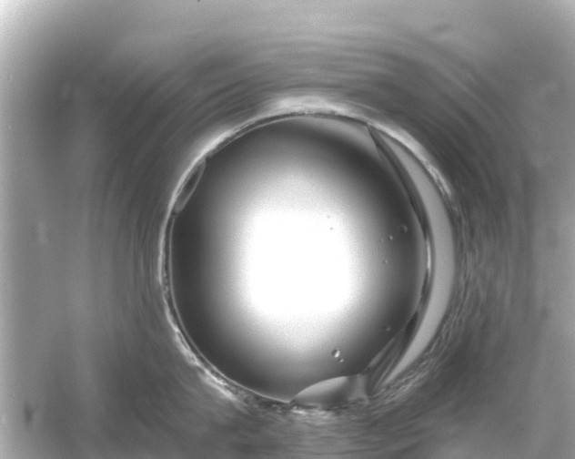 X0000054460815200508051949