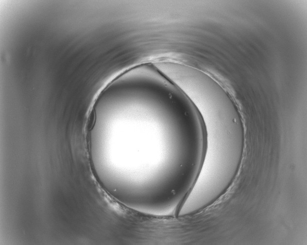 X0000054460816200508051949