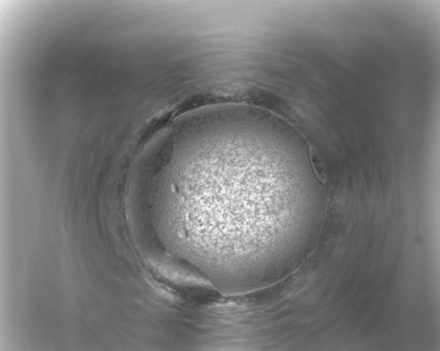 X0000054460817200508051948