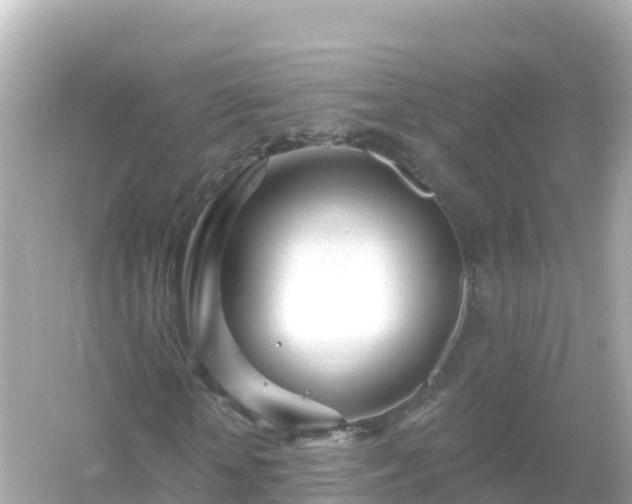 X0000054460818200508051948