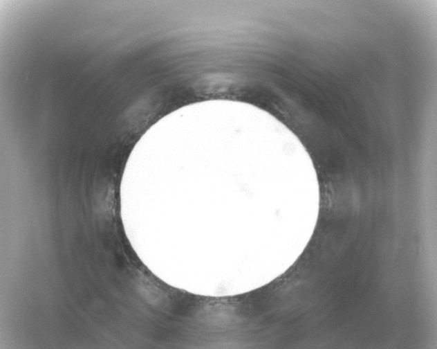 X0000054460820200508051948