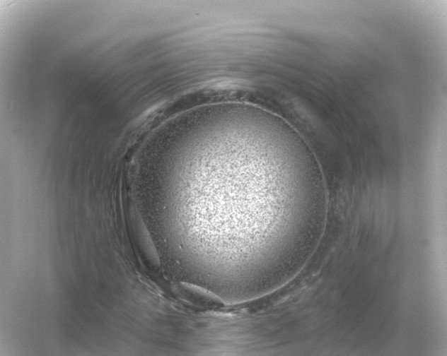 X0000054460821200508051948