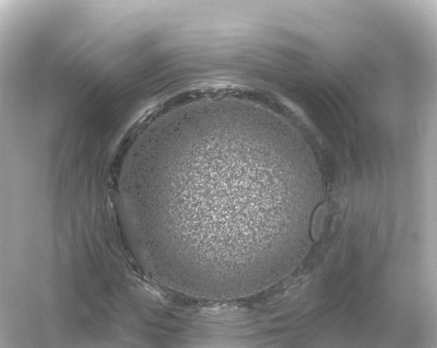 X0000054460823200508051948