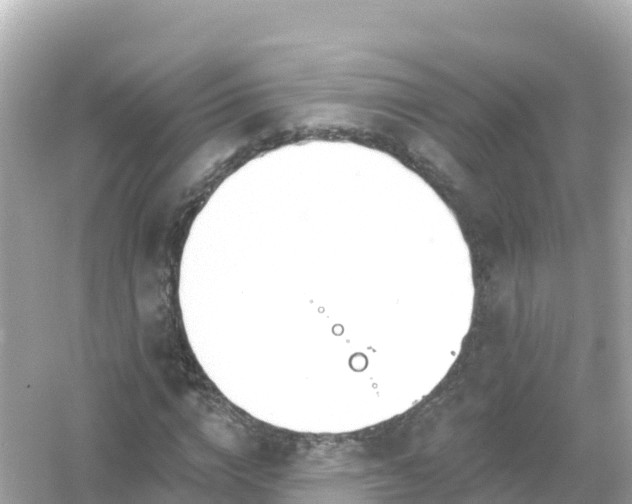 X0000054460824200508051948