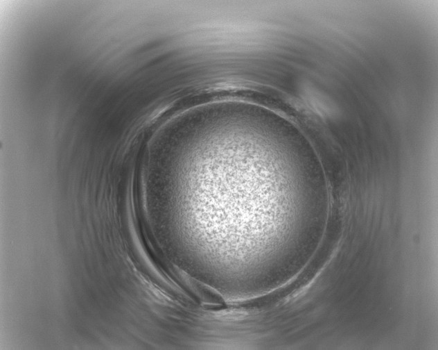 X0000054460825200508051948