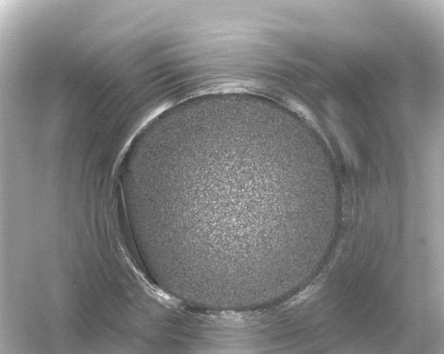 X0000054460827200508051948