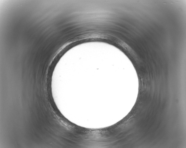 X0000054460828200508051948